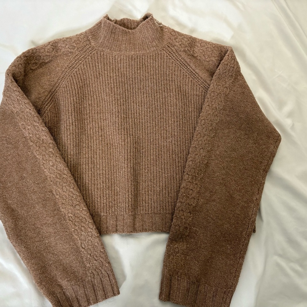 Wild Fable Cropped Brown Turtleneck Sweater